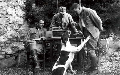 Animali Nella Grande Guerra 
