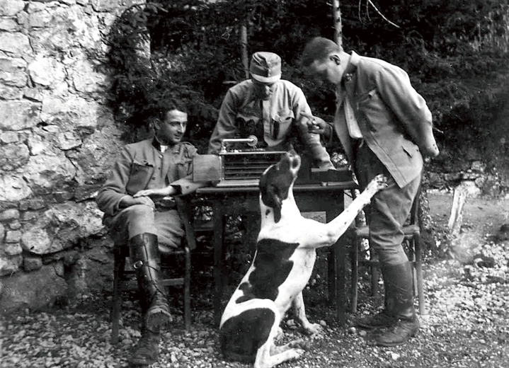 Animali Nella Grande Guerra 