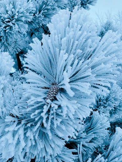    Zimowa aura pokazała wszystkie swoje oblicza  – od pięknego  po groźne.  