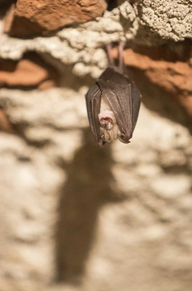 Zdjęcie ilustracyjne.