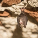 Zdjęcie ilustracyjne.