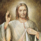  Można powiedzieć, że Pan Jezus na płockim wizerunku ma dłonie kobiety, która przebaczyła mordercom swego męża.