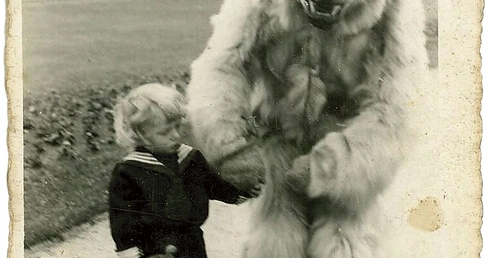 Portret dziewczynki z misiem  na Skwerze Kościuszki, wykonany  przez Foto-Fox w 1939 r.
