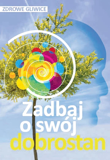 Poradnik można pobrać ze strony: gliwice.eu.