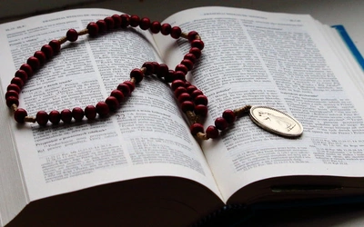 Dzień Pustyni dla Wrocławia