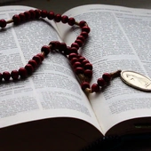 Dzień Pustyni dla Wrocławia