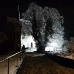 Orzechy św. Świerada