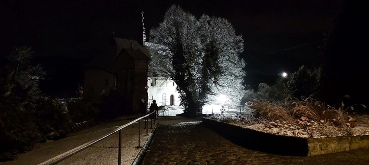 Orzechy św. Świerada