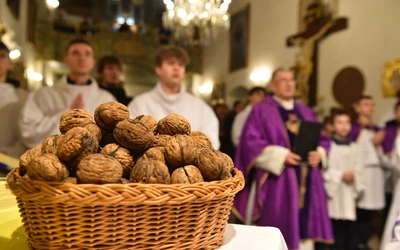 Orzechy św. Świerada