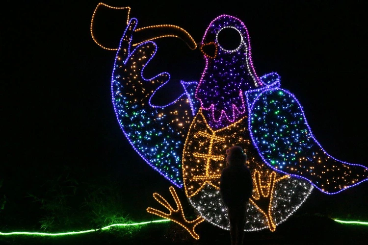 Lumina Park