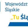 Tu Śląskie - wspólne zakupy usług ubezpieczenia mienia i odpowiedzialności cywilnej