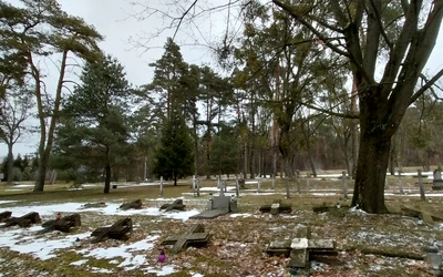 Ucieczka ku wolności