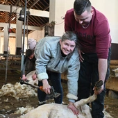 Podhale. Uczyli się strzyc owce