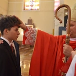 Bierzmowanie w parafii NSPJ w Tarnowie - 2026