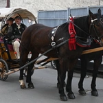 Damska banderia konna 