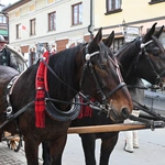 Damska banderia konna 