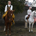 Damska banderia konna 