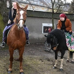 Damska banderia konna 