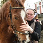 Damska banderia konna 