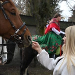 Damska banderia konna 