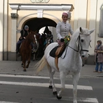 Damska banderia konna 