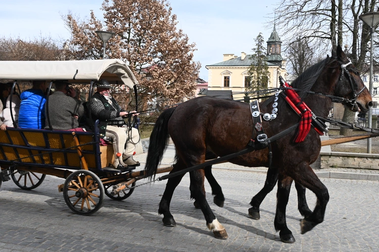 Damska banderia konna 