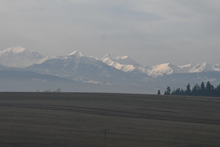 Parowóz nie tylko dla dam 