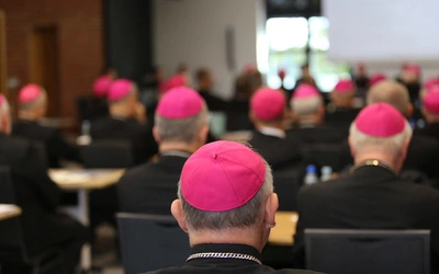 Komisja do zbadania zjawiska wykorzystania seksualnego małoletnich wśród tematów Zebrania Plenarnego KEP