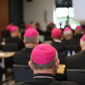 Komisja do zbadania zjawiska wykorzystania seksualnego małoletnich wśród tematów Zebrania Plenarnego KEP