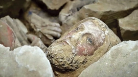 Co się kryje pod katedrą Notre Dame? 