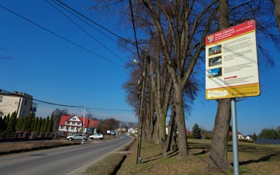 Aleja Lipowa w Szczepanowie