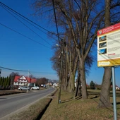 Aleja Lipowa w Szczepanowie