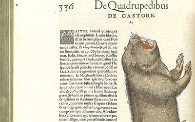 Wielki Post nad Bałtykiem. Śledź – asceta, żur do pogrzebania i bóbr, który na 40 dni zostawał rybą – to tylko niektórzy kulinarni bohaterowie czasu przed świętami Wielkiejnocy