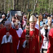 Niedziela Palmowa w Muzeum Wsi Radomskiej