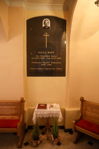 Jubileuszowe XXV Dni Patrona w ZS w Dzikowcu