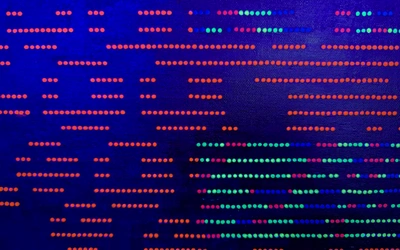 Wystawa artystki z Białorusi