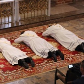 Belgia: biskup zapowiada święcenie żonatych mężczyzn na kapłanów