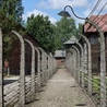 Muzeum Auschwitz przygotowuje się do remontu dwóch historycznych bloków
