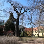 Forum Świeckich w Rudach  