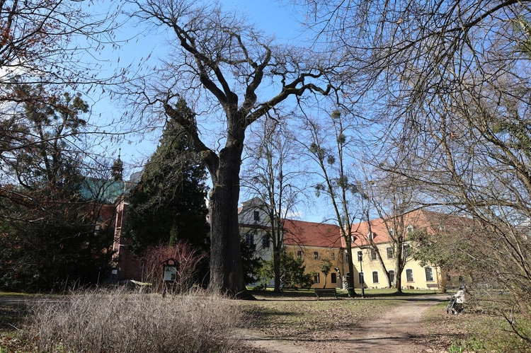 Forum Świeckich w Rudach  