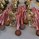 XIX Mistrzostwa PNH LSO Brzesko 2026