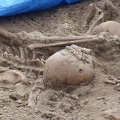 Rozpoczynają się poszukiwania pochówków Polaków zamordowanych przez UPA w Ugłach