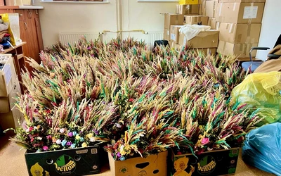 1500 palm wielkanocnych