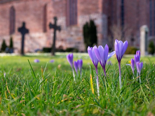 Krzyż prowadzi do nowego życia