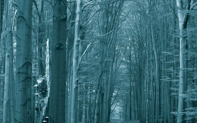 „Urwany ślad” – świetny reportaż o zaginionych w amerykańskich parkach narodowych i żałobie, która nie może się zakończyć 