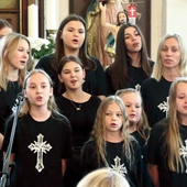 W przeglądzie biorą udział zarówno soliści, jak i zespoły wokalne oraz chóry.