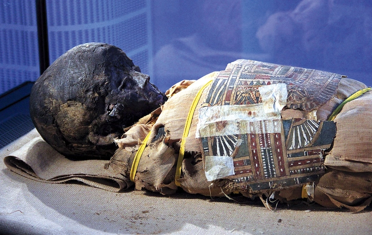 Pochówek może pochodzić z południowej części Górnego Egiptu,  najprawdopodobniej z rejonu Kom Ombo  lub Asuan.