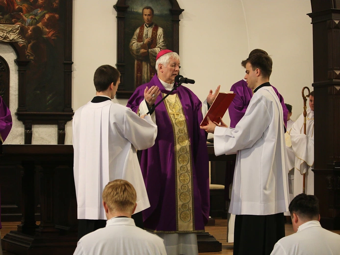 Ustanowienie nowych lektorów