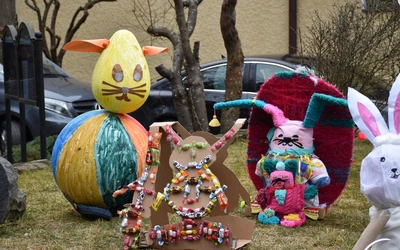 Zające opanowały Matemblewo