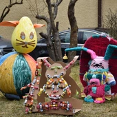 Zające opanowały Matemblewo